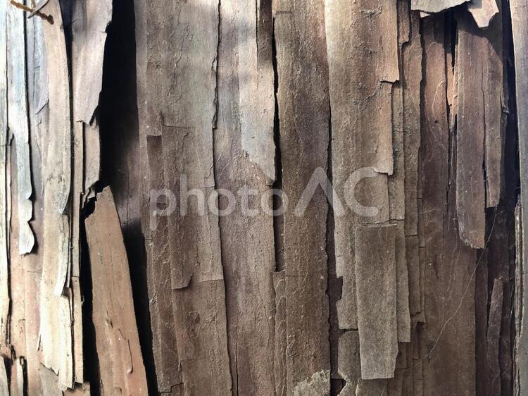 天然の木の表面 木材,古いです,粗いの写真素材