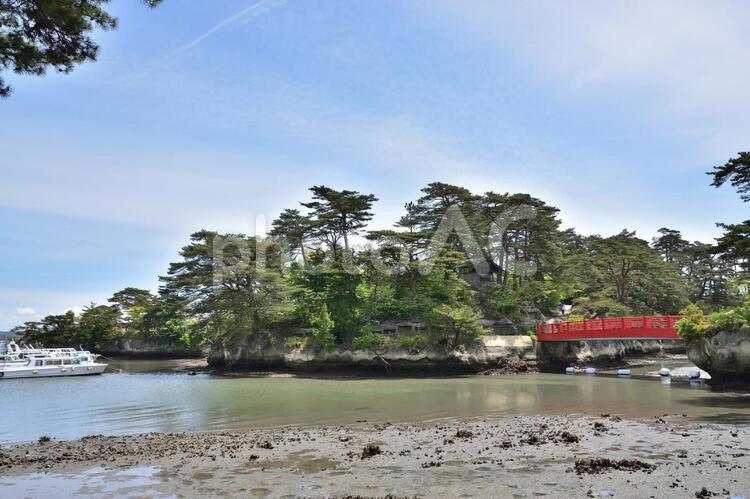 松島海岸　５ 松島海岸,松島,海岸の写真素材