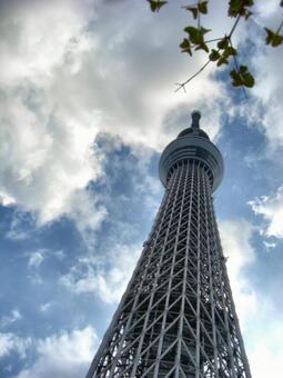 曇り日の東京スカイツリー-100 東京スカイツリー,曇り日,雲の写真素材