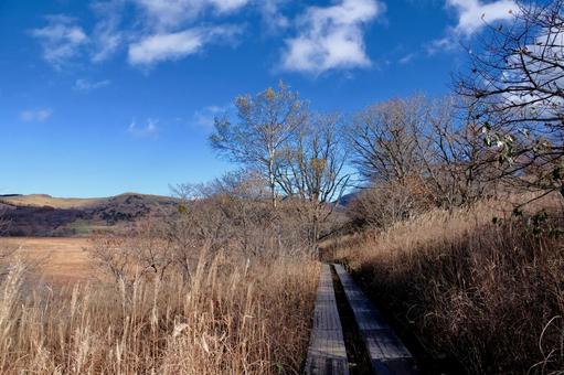 秋の八島湿原の写真