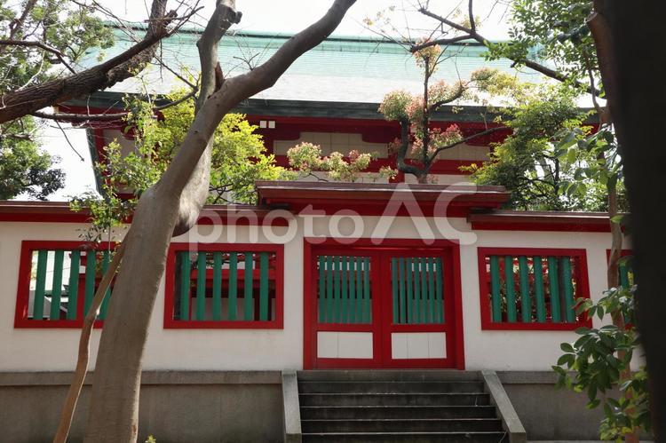富岡八幡宮　本殿 富岡八幡宮,本殿,神社の写真素材
