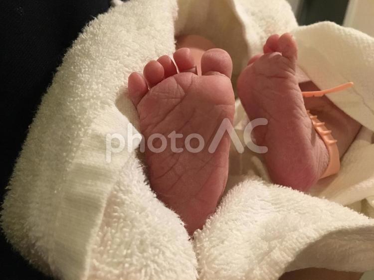 生まれたばかりの赤ちゃん 新生児,出産,誕生の写真素材