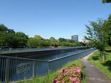 仙台堀川 仙台堀川の写真