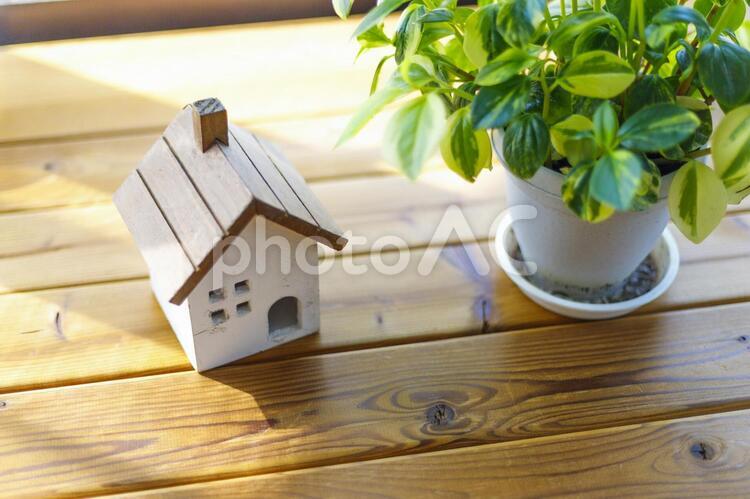 観葉植物と住宅模型 木,ウッド,住宅の写真素材