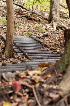 滝川渓谷の登山道 滝川渓谷の登山道の写真