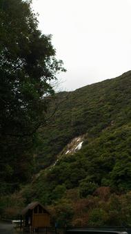 大川の滝 大川の滝の写真