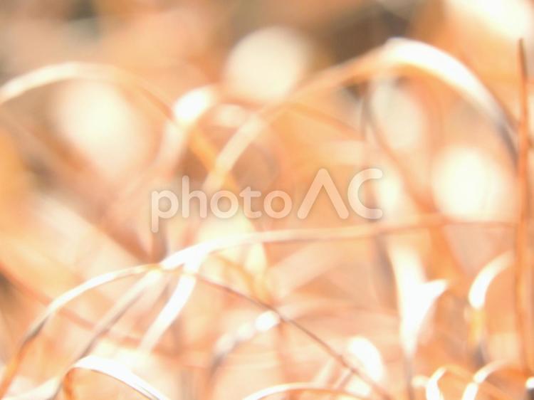 秋の癒し 葉っぱ,自然,風景の写真素材