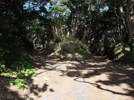 伊豆大島　トウシキ遊泳場へ向かう道 トウシキ遊泳場,伊豆大島,伊豆諸島の写真素材