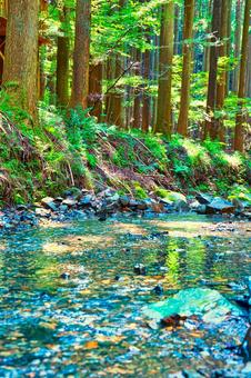 自然(川・森林) 自然(川・森林) 川,山,水の写真素材