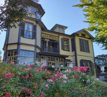 薔薇と洋館 薔薇,バラ,ローズの写真素材