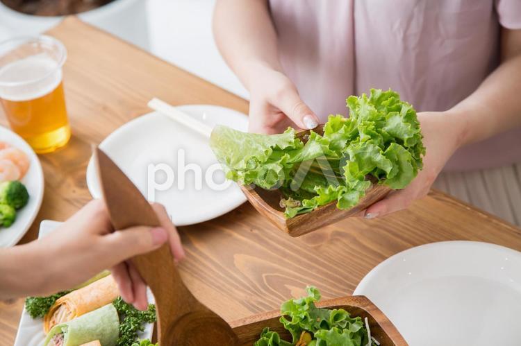 野菜をとり分ける レタス,サラダ,野菜の写真素材
