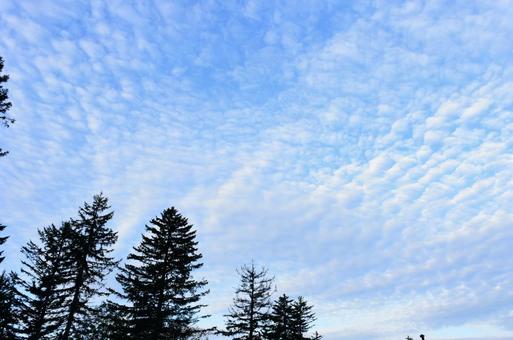 山の中で見た空 山の中で見た空の写真