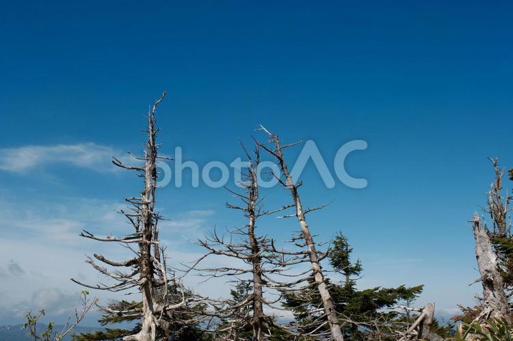 八幡平の春　高原登山と国立公園の風景 八幡平,八幡平市,十和田八幡平国立公園の写真素材