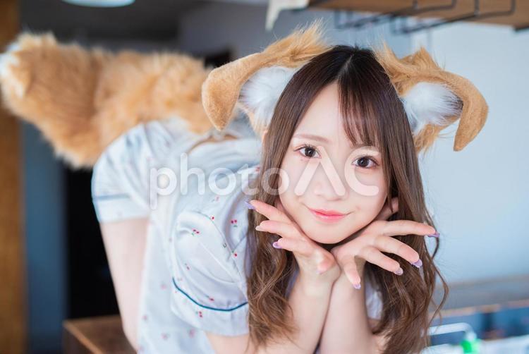 犬の仮装・コスプレをした可愛い若い女性 女性,女,レディの写真素材