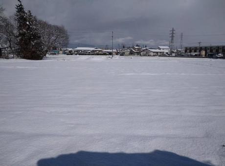 雪景色の畑 雪景色の畑の写真