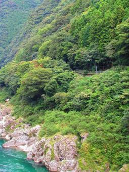 徳島県-大歩危 徳島県-大歩危 大歩危,吉野川,天然記念物の写真素材
