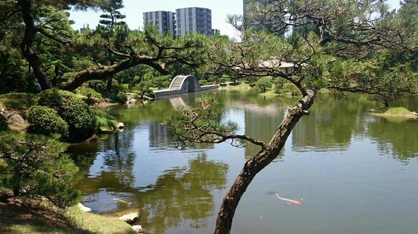 縮景園の景色 縮景園の景色 庭園,広島,晴天の写真素材