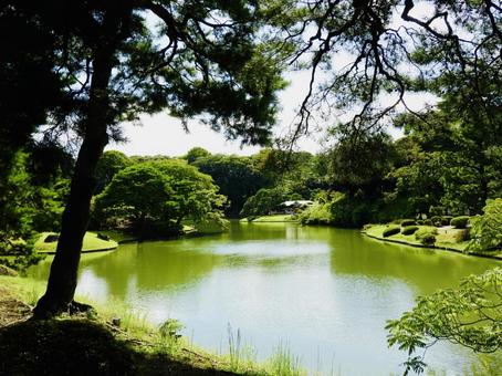 六義園吹上茶屋を望む2 六義園,庭園,大名庭園の写真素材