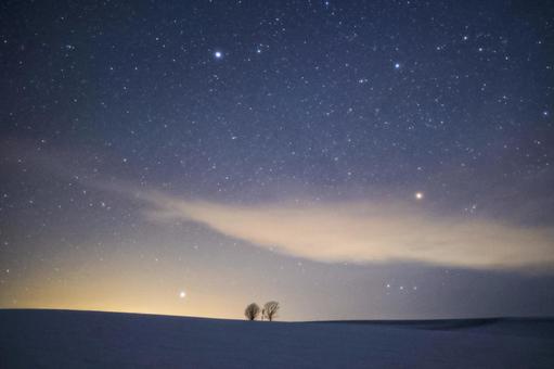 Parent and child tree and starry sky, JPG Parent and child tree and starry sky, hokkaido, biei, starry sky, JPG