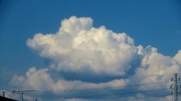 雲<驚く顏> 雲<驚く顏>の写真