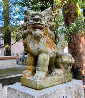 山神社の狛犬 2025 山神社の狛犬 2025 山神社,狛犬,境内の写真素材