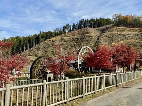 11月　秋の竹田水車メロディーパーク 竹田水車メロディーパーク,自然,水車の写真素材