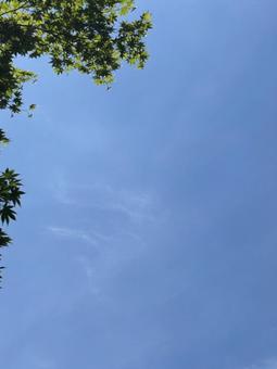 Midsummer Blue Sky 1, JPG