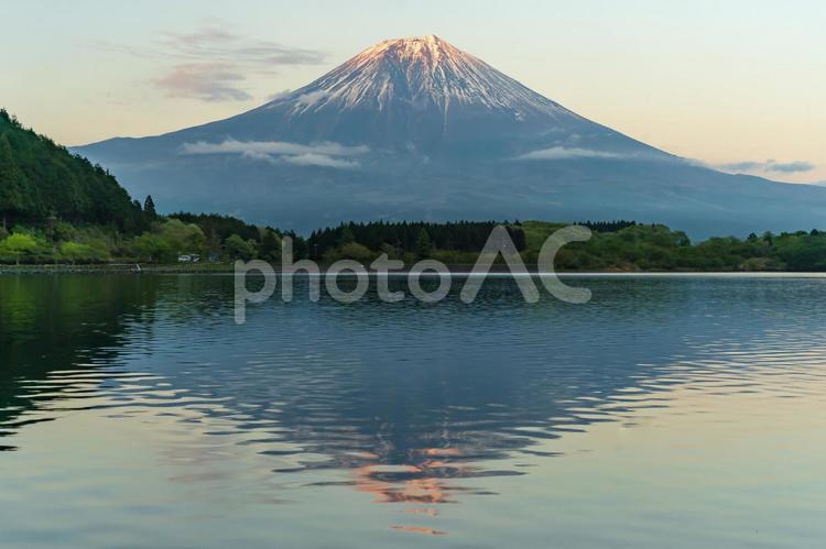 湖畔と富士山1　田貫湖 富士山,空,快晴の写真素材