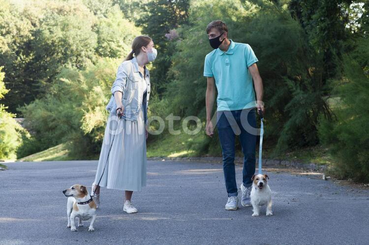 犬の散歩をする男女 公園,犬,散歩の写真素材