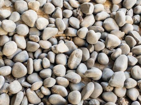 装飾用の玉砂利 玉砂利,化粧砂利,小石の写真素材