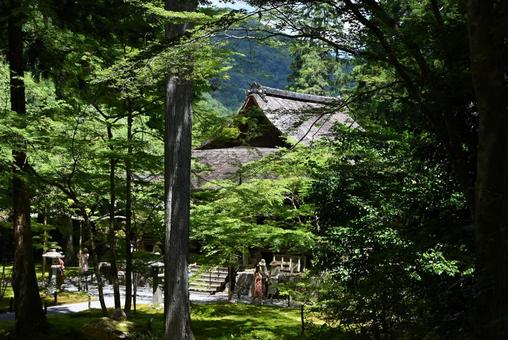 往生極楽院 往生極楽院の写真