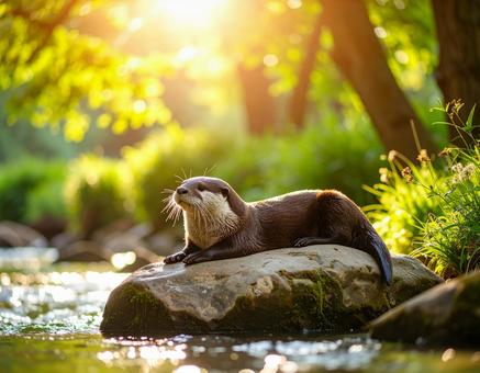 かわうその写真
