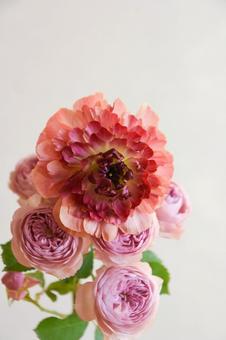 薔薇とラナンキュラス 薔薇とラナンキュラスの写真