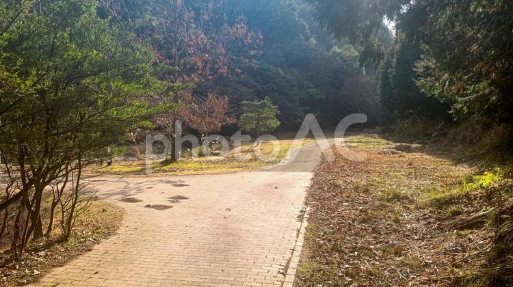 薬王寺水辺公園の風景 公園,自然,水辺の写真素材