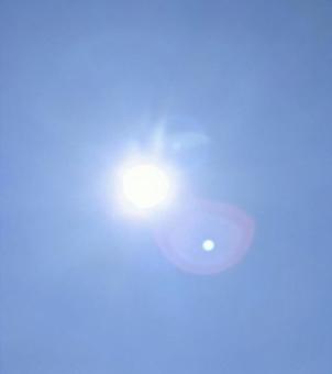 夏の輝きの写真