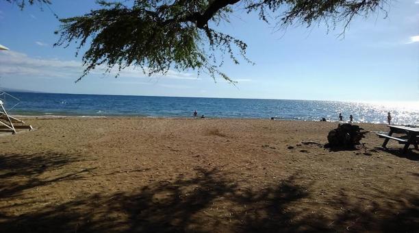 ハワイ　ホオケナ・ビーチ・パーク ハワイ,海,砂浜の写真素材