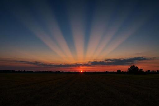 地平線に収束する幻想的な反薄明光線の風景の写真