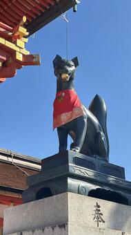 奥ゆかしき、伏見稲荷の守り狐 伏見稲荷大社,稲荷,狐の写真素材