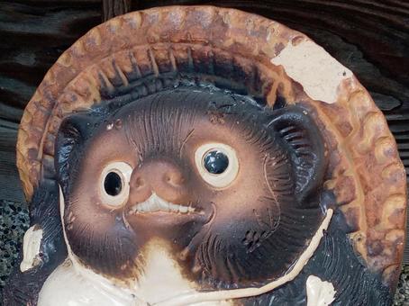 Photo, raccoon, home, japan, 