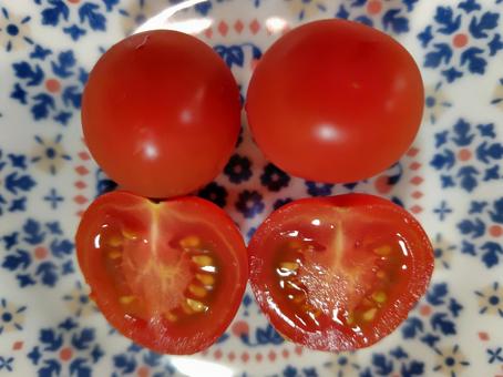 ミニトマト ミニトマトの写真