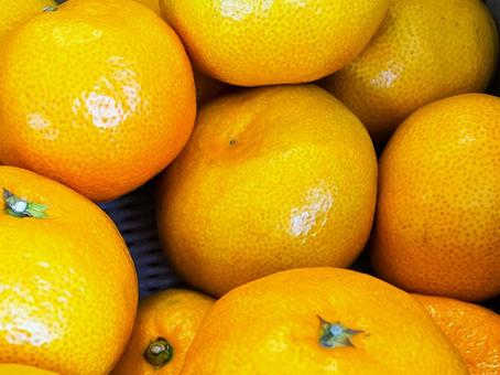 箱入り有田みかん１５ みかん,有田,和歌山県の写真素材