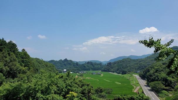 田染荘01 田染荘01 田んぼ,緑,夏の写真素材