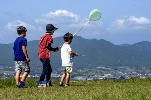 <素材>夏の公園で虫取りをする親子 <素材>夏の公園で虫取りをする親子 家族,女性,子供の写真素材