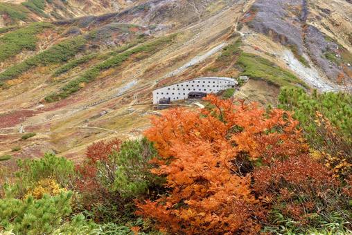 北アルプス大日岳紅葉登山 北アルプス,立山,大日岳の写真素材