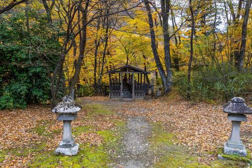 秋の鳳鳴四十八滝 秋,紅葉,石灯籠の写真素材