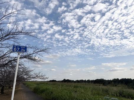 荒川のランニングコース 荒川のランニングコース 空,木,秋の写真素材