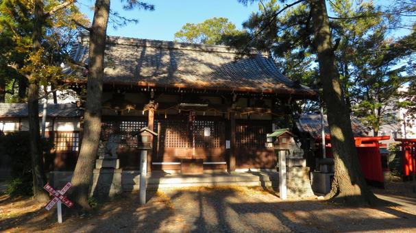 聖武天皇社 境内の風景 社殿 聖武天皇社 境内の風景 社殿の写真