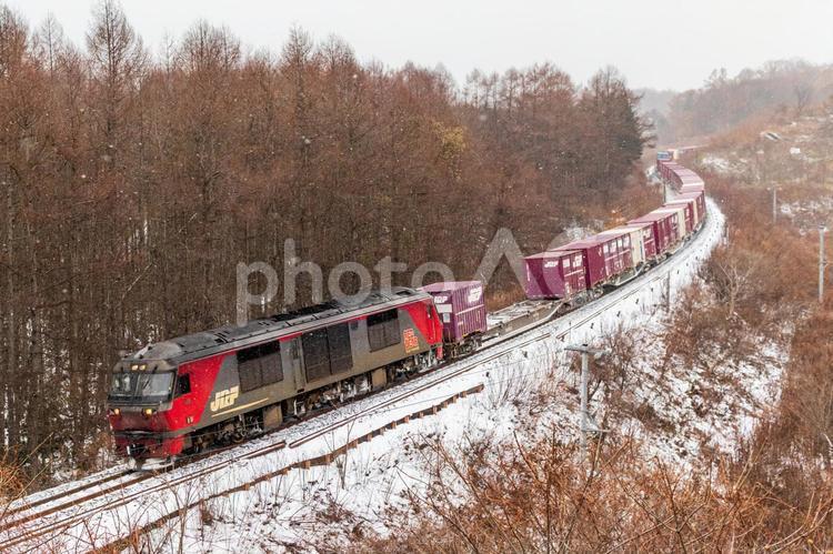 冬の貨物列車 鉄道,列車,冬の写真素材