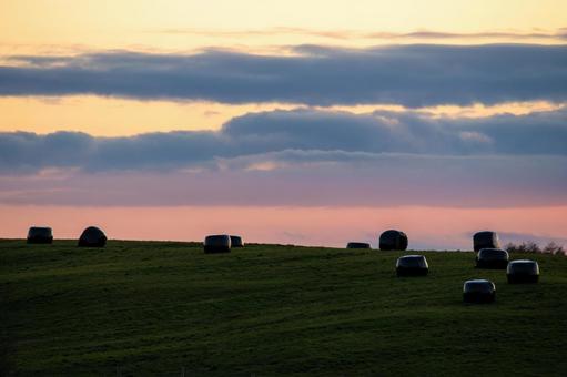 牧草地を覆う、たそがれ時の静寂の写真