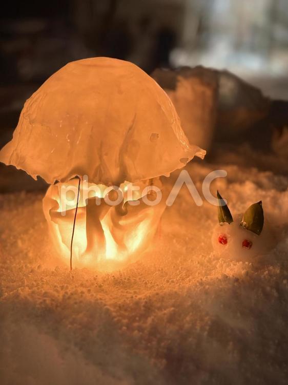 ウサギとキノコの明かり 幻想的,ウサギ,うさぎの写真素材